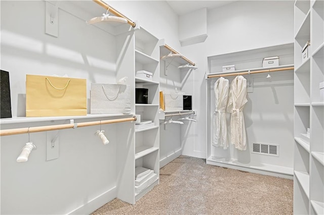 spacious closet featuring light colored carpet