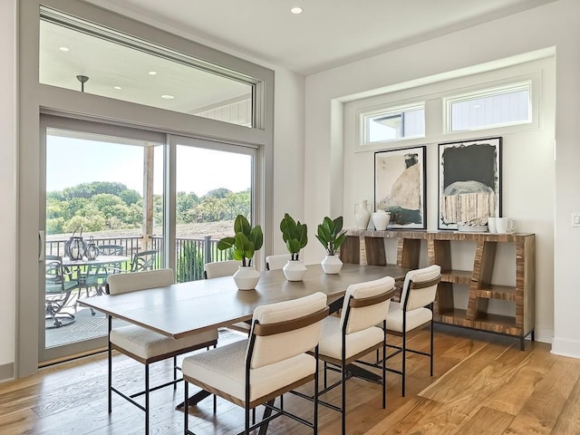 dining room featuring a wealth of natural light and light hardwood / wood-style flooring