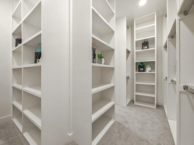 walk in closet with light carpet