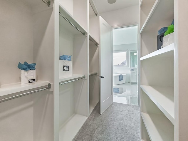 spacious closet featuring light carpet