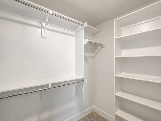 spacious closet featuring carpet