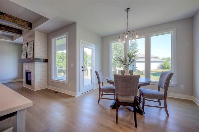dining room featuring a glass covered fireplace, baseboards, and wood finished floors