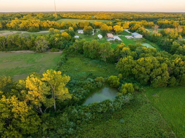 aerial view at dusk with a water view