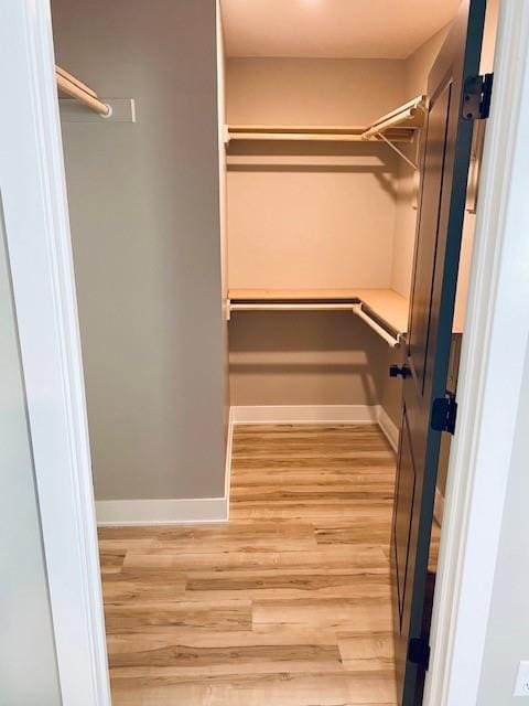 spacious closet featuring light wood-style flooring