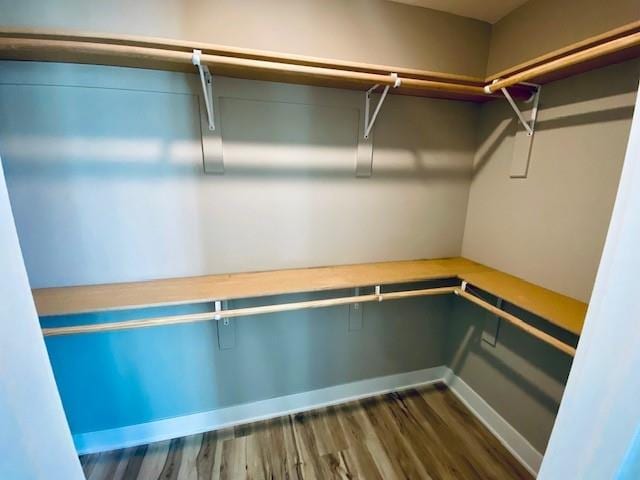 spacious closet with dark wood finished floors