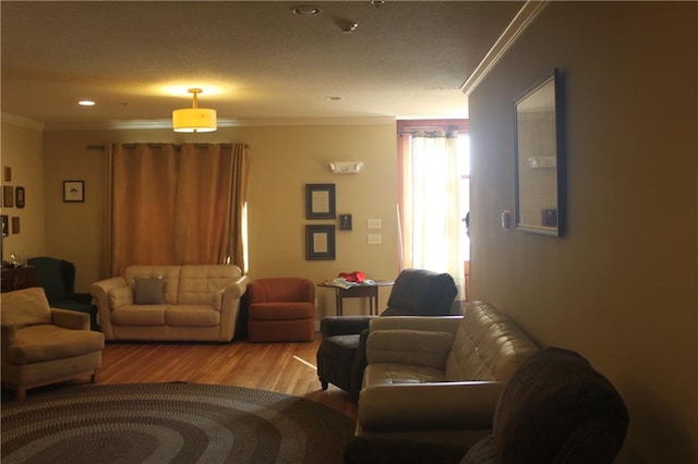 living room featuring ornamental molding and light hardwood / wood-style flooring