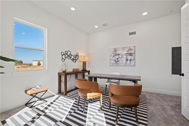 sitting room featuring carpet and electric panel