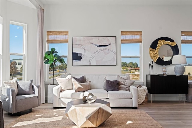 living room with a healthy amount of sunlight and hardwood / wood-style flooring