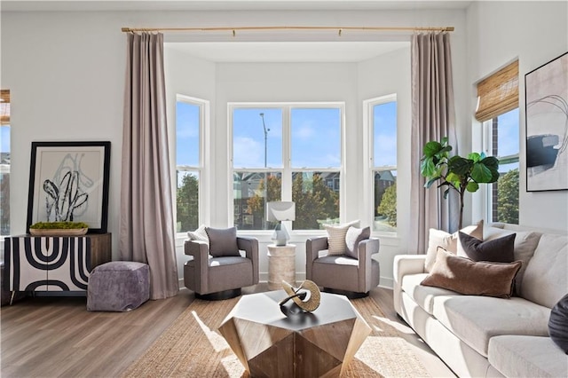 living room with light hardwood / wood-style floors