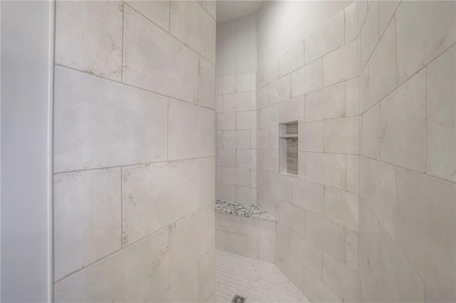 13812 Quigley St, Overland Park, KS 66221 - bathroom view of a tile shower