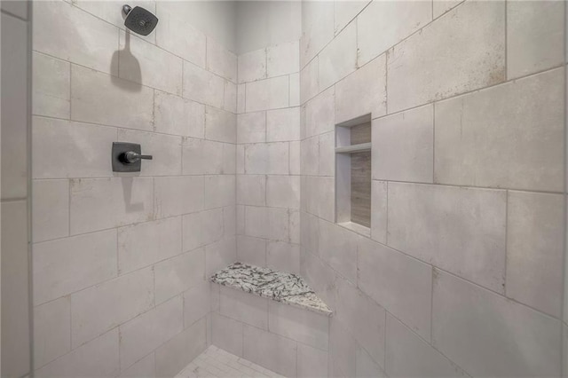 13812 Quigley St, Overland Park, KS 66221 - full bathroom with a tile shower