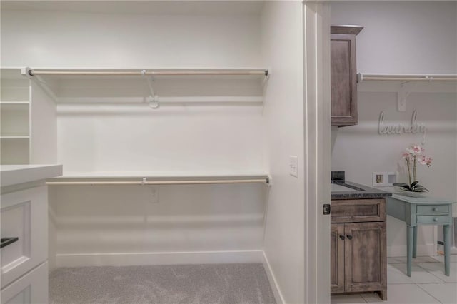 13812 Quigley St, Overland Park, KS 66221 - view of spacious closet