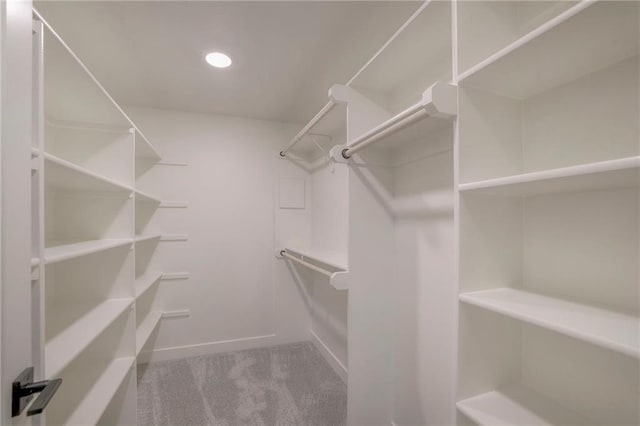 13812 Quigley St, Overland Park, KS 66221 - spacious closet with carpet