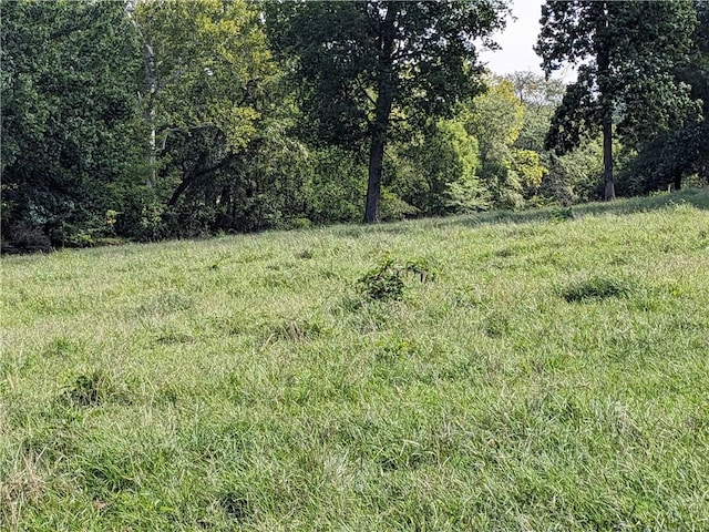 view of local wilderness