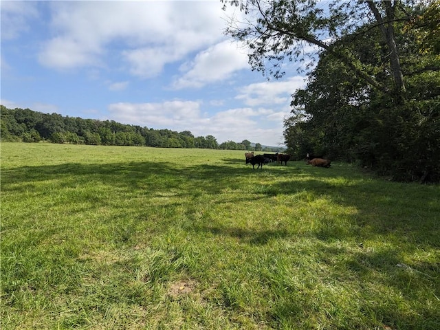 view of yard featuring a rural view