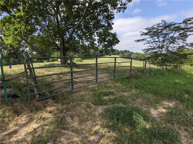 view of yard with a rural view