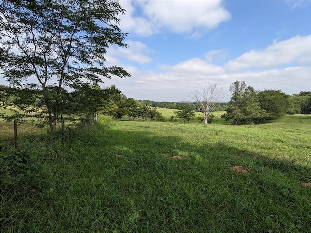 view of local wilderness featuring a rural view