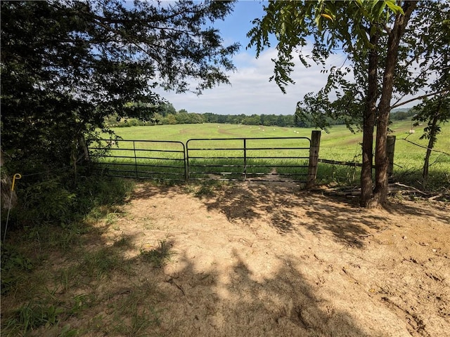 view of yard with a rural view