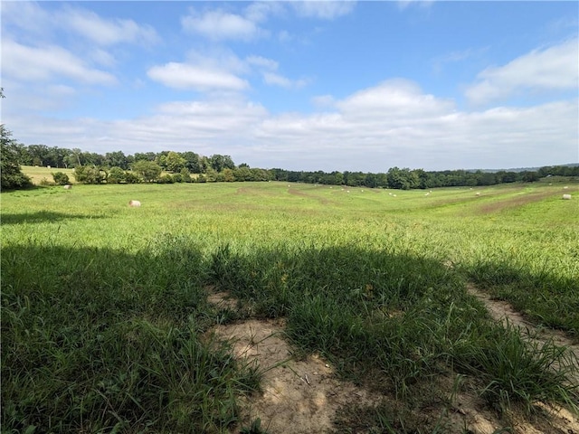 view of mother earth's splendor with a rural view