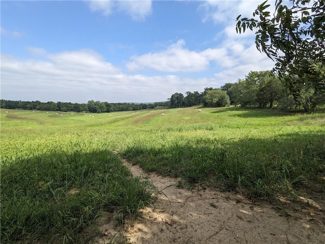 view of nature featuring a rural view