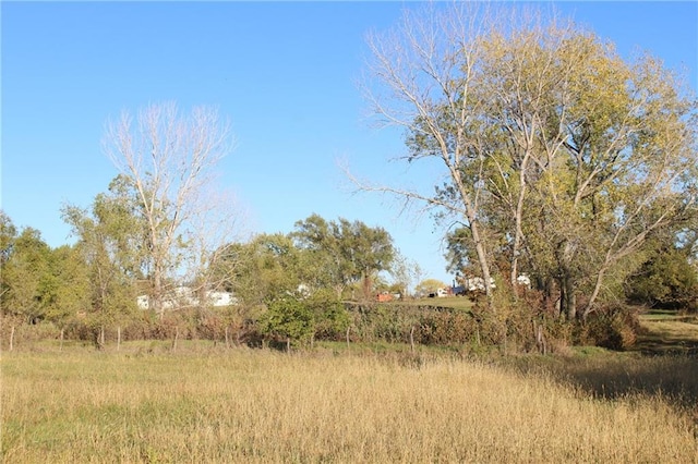 view of local wilderness