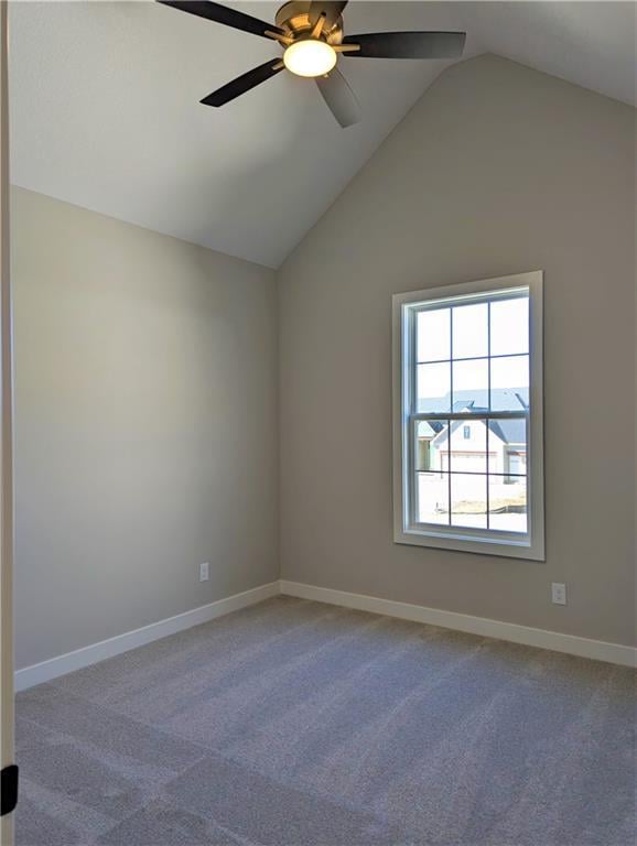 16909 Futura St, Overland Park, KS 66085 - photo 40