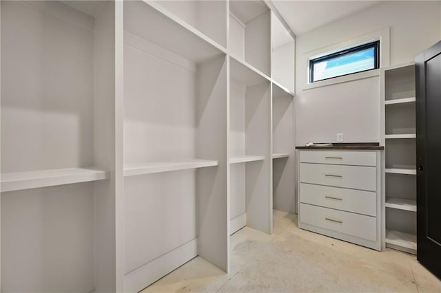 view of spacious closet