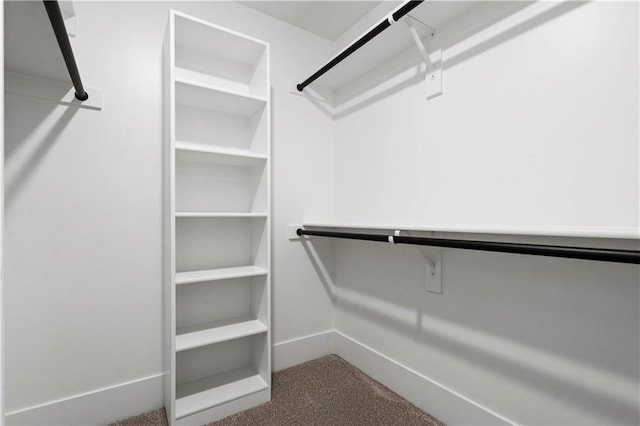 115 Teton Rdg, Lake Winnebago, MO 64034 - walk in closet with carpet flooring