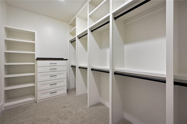 119 Teton Rdg, Lake Winnebago, MO 64034 - spacious closet with light colored carpet