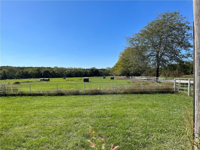 view of yard with a rural view