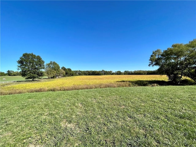 view of yard with a rural view