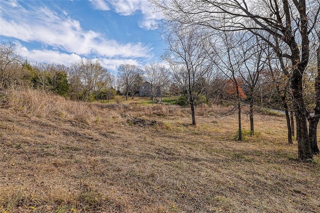 25480 W 131st St, Olathe, KS 66061 - photo 3