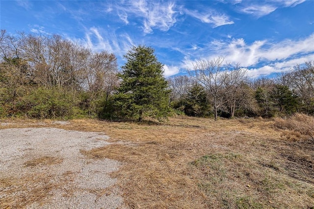 25480 W 131st St, Olathe, KS 66061 - photo 4