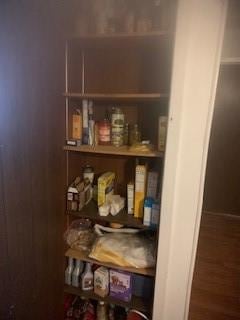 view of pantry