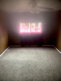 carpeted spare room with wooden walls