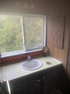 bathroom with vanity and a healthy amount of sunlight