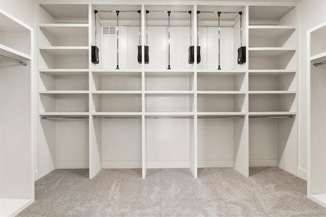 spacious closet with light carpet