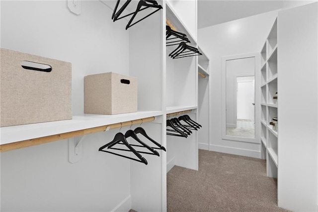 20132 Barker St, Spring Hill, KS 66083 - walk in closet with carpet