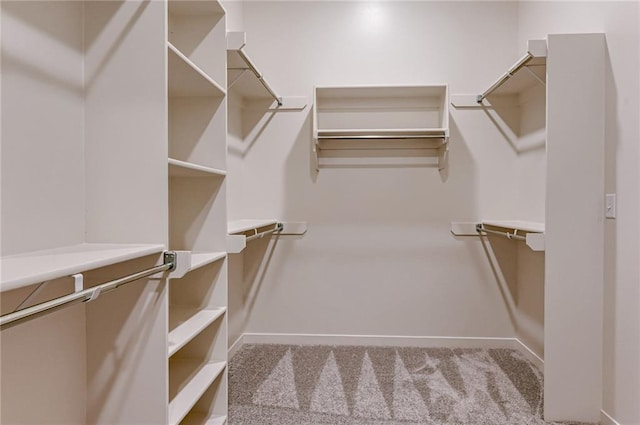 walk in closet with light carpet