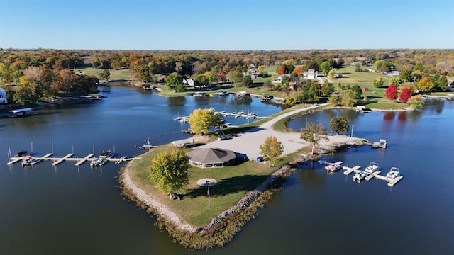 847 Lake Viking Ter, Altamont, MO 64620 - photo 12
