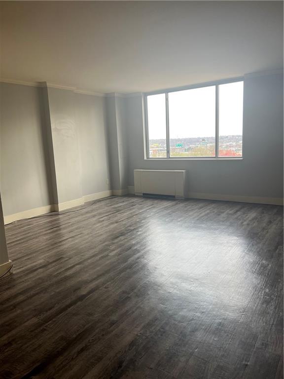 spare room featuring dark hardwood / wood-style flooring, ornamental molding, and radiator