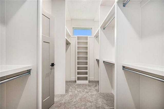 walk in closet featuring light colored carpet