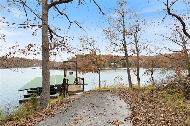 dock area with a water view