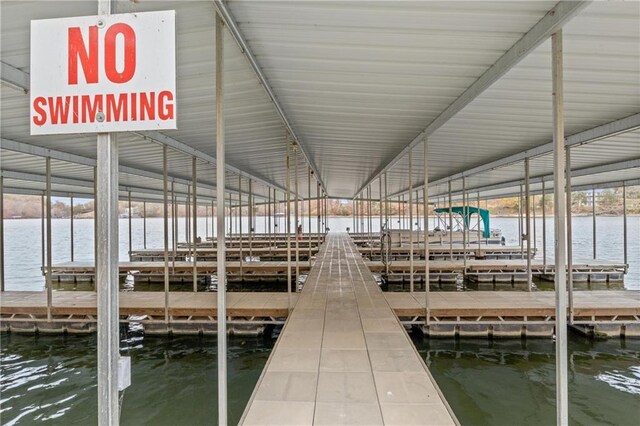 dock area with a water view