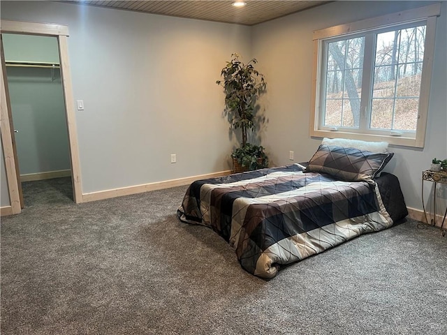 carpeted bedroom with a spacious closet and a closet