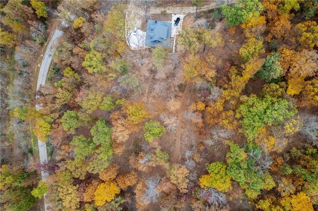 7930 Eagle Bay Dr, Gravois Mills, MO 65037 - birds eye view of property