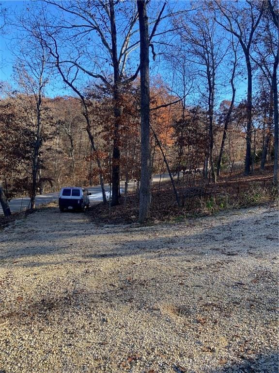 7930 Eagle Bay Dr, Gravois Mills, MO 65037 - view of yard