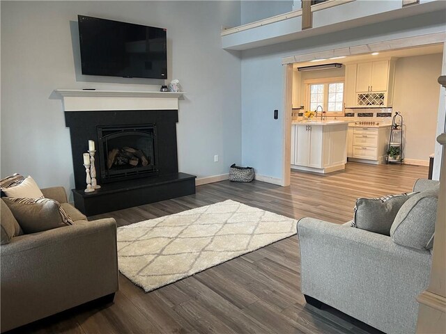 7930 Eagle Bay Dr, Gravois Mills, MO 65037 - living room featuring dark wood-type flooring, baseboards, and a fireplace with raised hearth