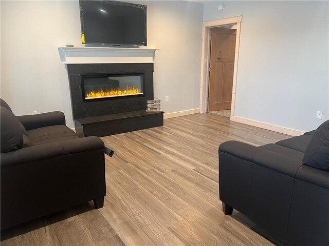 7930 Eagle Bay Dr, Gravois Mills, MO 65037 - living area featuring wood finished floors, baseboards, and a glass covered fireplace