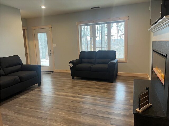 7930 Eagle Bay Dr, Gravois Mills, MO 65037 - living room featuring wood finished floors, baseboards, a glass covered fireplace, and visible vents